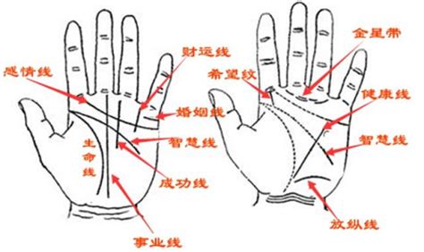 男手相分析|手相图解大全，零基础，读三遍9分钟就会了...